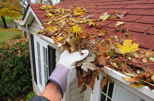Rain Gutter Cleaning Service in Virginia Beach