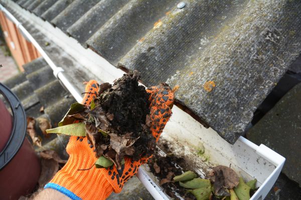 Seamless Gutter Cleaning in Virginia Beach