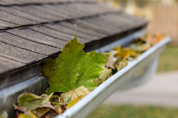 Gutter System Cleaning in Virginia Beach