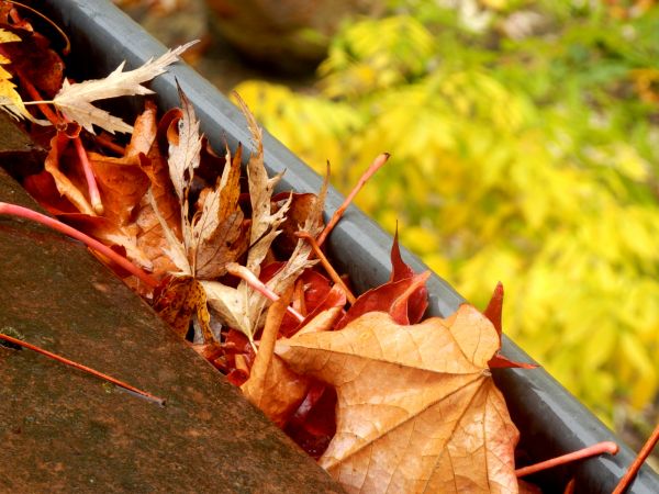 Roof Gutter Debris Removal in Virginia Beach