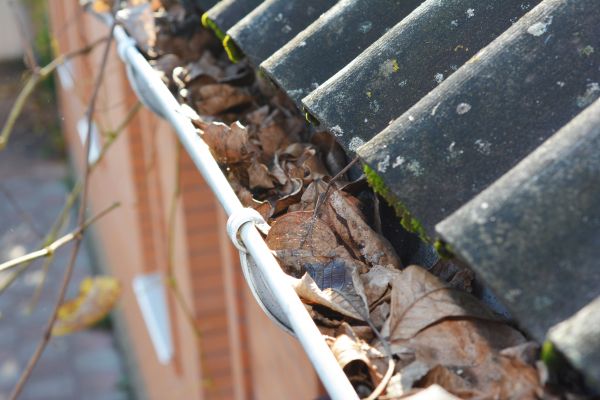 Home Gutter Cleaning in Virginia Beach