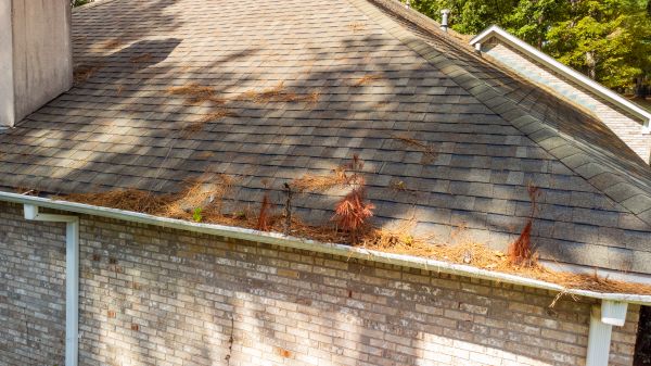 Gutter Pine Needle Removal in Virginia Beach