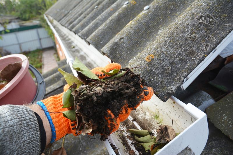 Gutter Cleaning detail