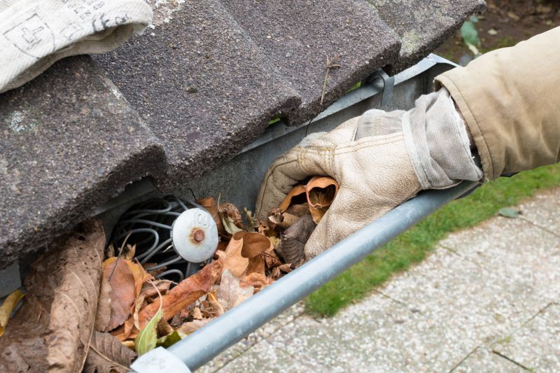 Clogged Gutters with Debris