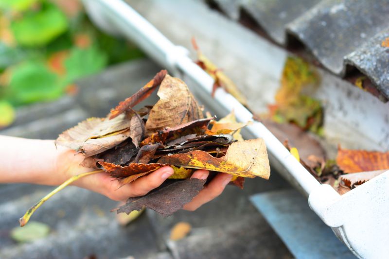 Gutter Leaf Clearing