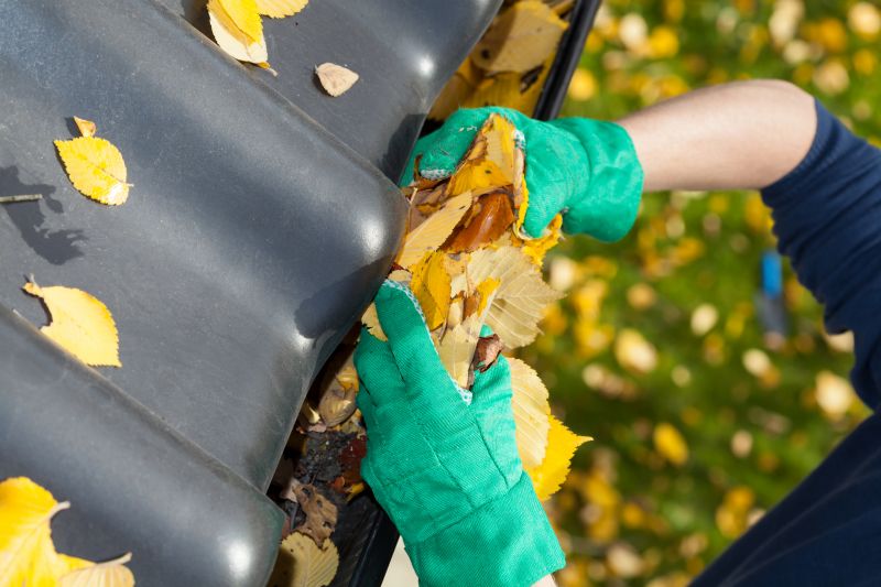 Gutter Maintenance