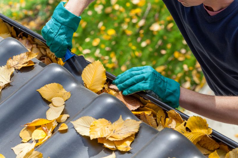 Scheduling Gutter Maintenance