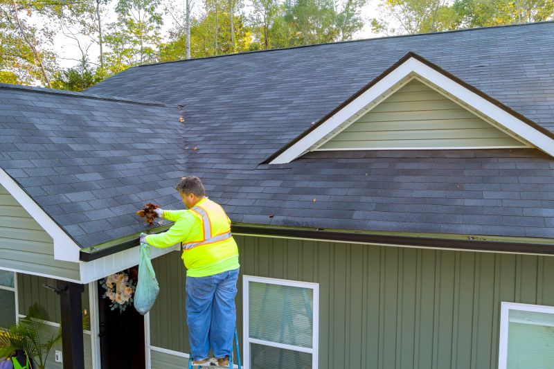 Affordable Gutter Maintenance